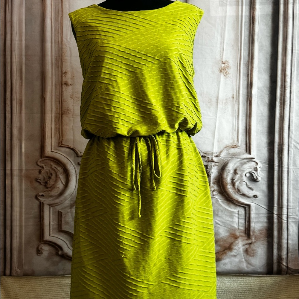 EUC apple green pullover dress.